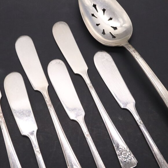 WM Rogers Mountain Rose Silverplate Flatware 8 Butter 1 Master 1 Slotted Spoon - Picture 5 of 8